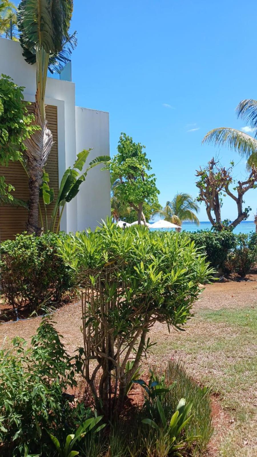 Cap Ouest Luxury Beachfront Flic-en-Flacq Екстериор снимка